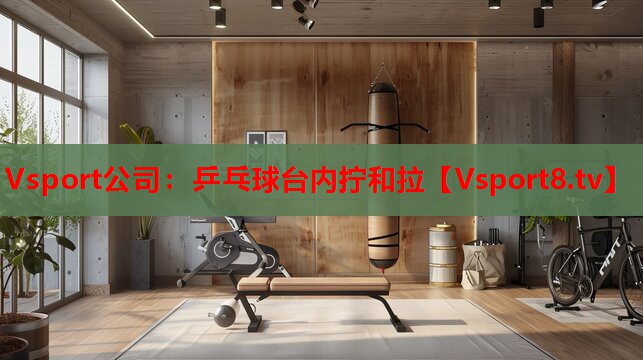 Vsport公司：乒乓球臺內擰和拉