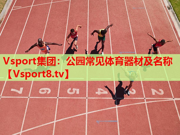 Vsport集團(tuán)：公園常見體育器材及名稱