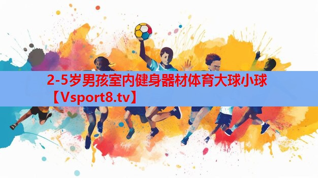 2-5歲男孩室內健身器材體育大球小球