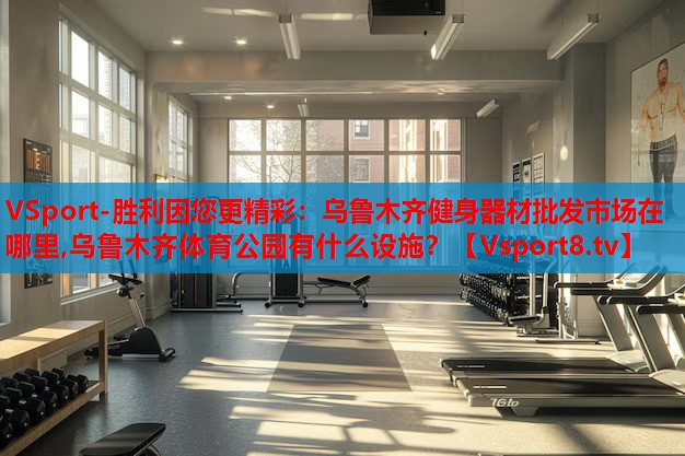 VSport-勝利因您更精彩：烏魯木齊健身器材批發(fā)市場在哪里,烏魯木齊體育公園有什么設施？