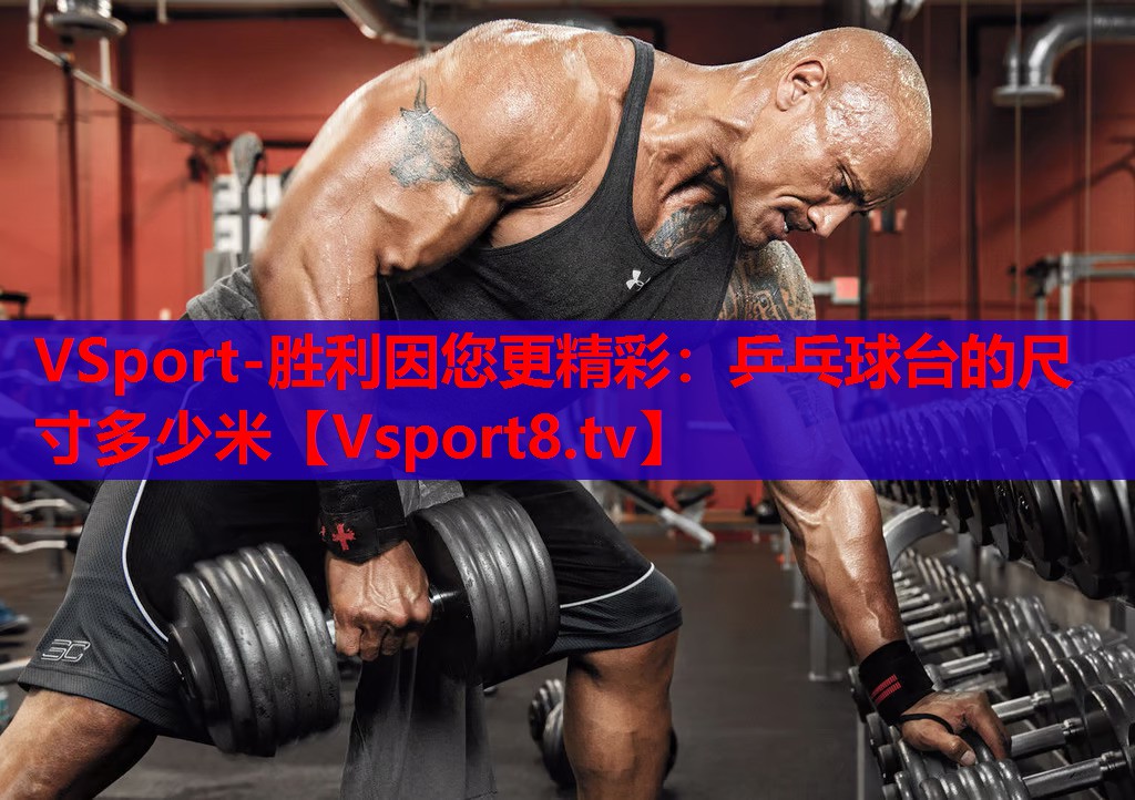 VSport-勝利因您更精彩：乒乓球臺的尺寸多少米