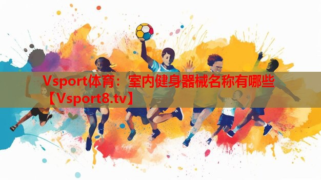 Vsport體育：室內(nèi)健身器械名稱有哪些