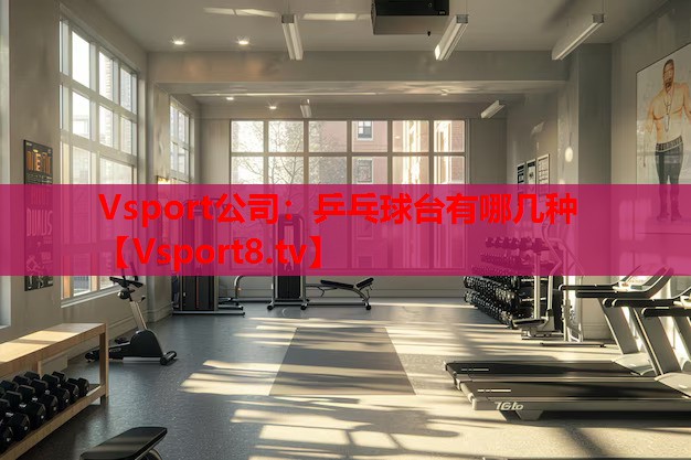 Vsport公司：乒乓球臺(tái)有哪幾種