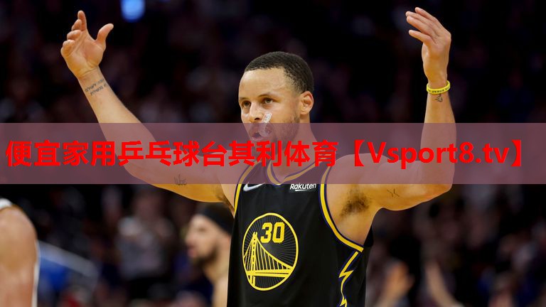 便宜家用乒乓球臺其利體育