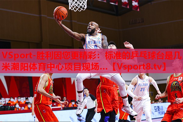 VSport-勝利因您更精彩：標準的乒乓球臺是幾米潮陽體育中心項目現(xiàn)場…