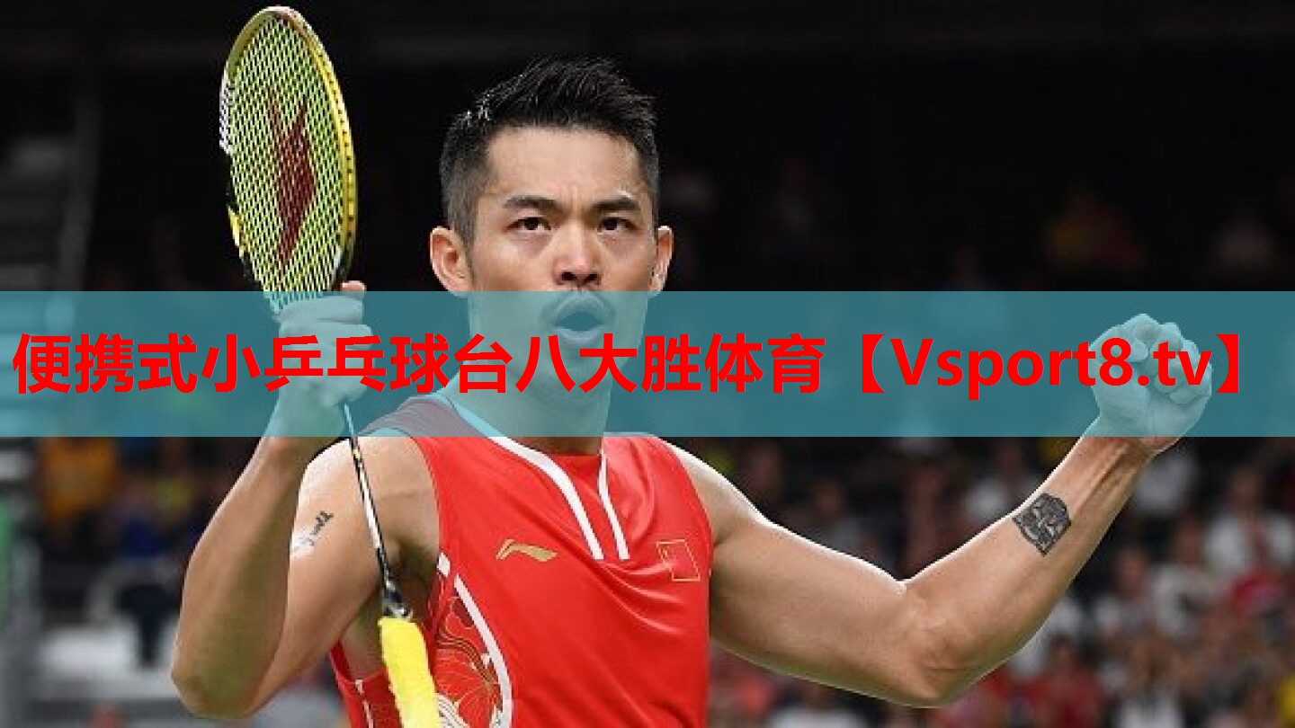 便攜式小乒乓球臺(tái)八大勝體育