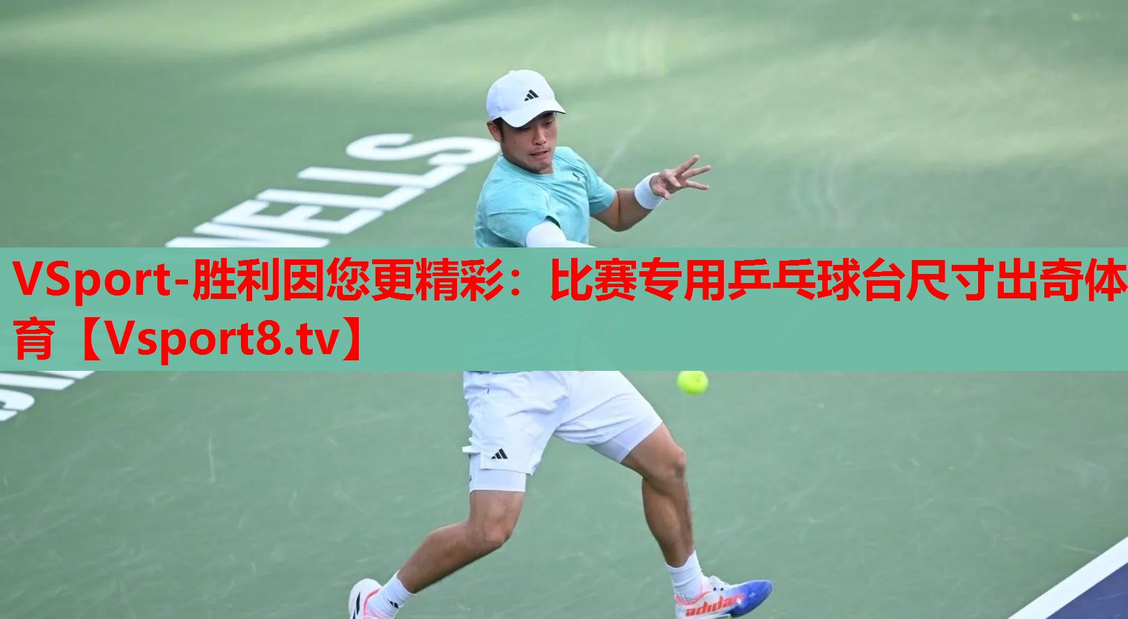 VSport-勝利因您更精彩：比賽專用乒乓球臺尺寸出奇體育