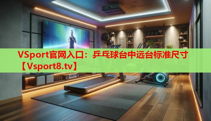 乒乓球臺中遠(yuǎn)臺標(biāo)準(zhǔn)尺寸